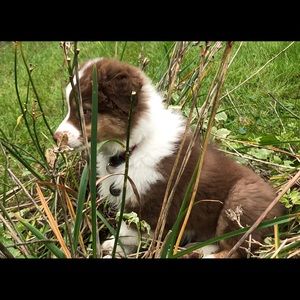 For Hetal ONLY please